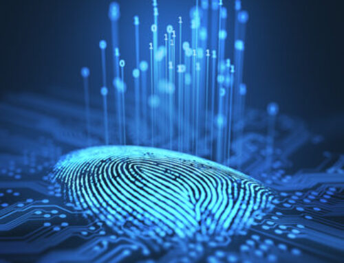 CATFISHING: SUPLANTACIÓN EN LA RED